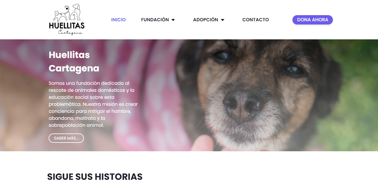 HuellitasCTG WebApp - Project screenshot